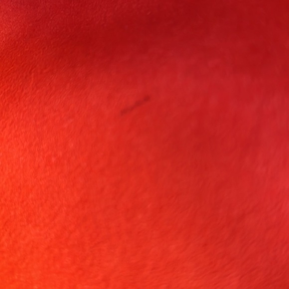 LOUIS VUITTON PALLAS MM - Used One Time - Picture 14 of 17